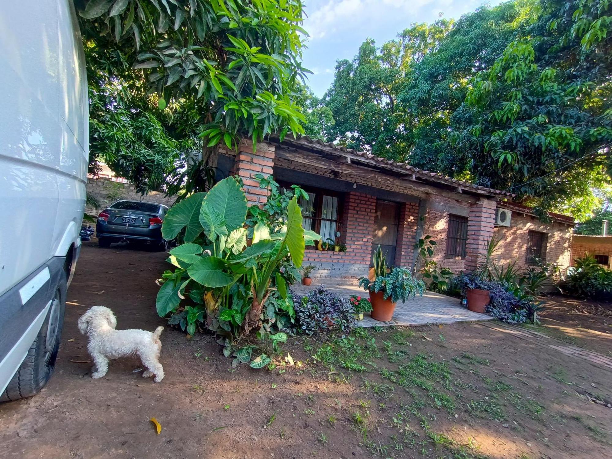 Entre Mangos Y Tucanes Calilegua Eksteriør billede